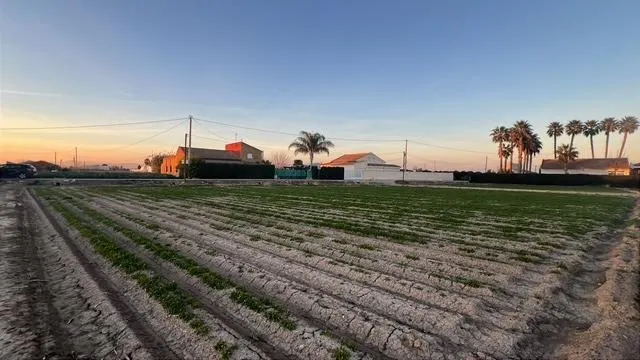 Parcela de 11449m2 en Dolores (Alicante), muy buena ubicación  agua y luz muy cerca. Dolores se encuentra a 5 minutos con coche. Puede construir hasta 2% — 2