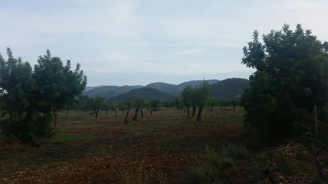 Finca con licencia — 9