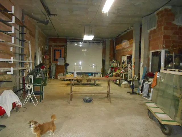 Ocasion vivienda de 2 plantas, terraza y local — 13