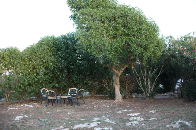 AGROTURISMO A LA VENTA EN SANT CLIMENT — 10
