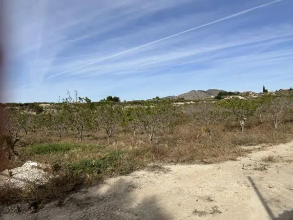 Parcela de terreno cercano al casco urbano — 2