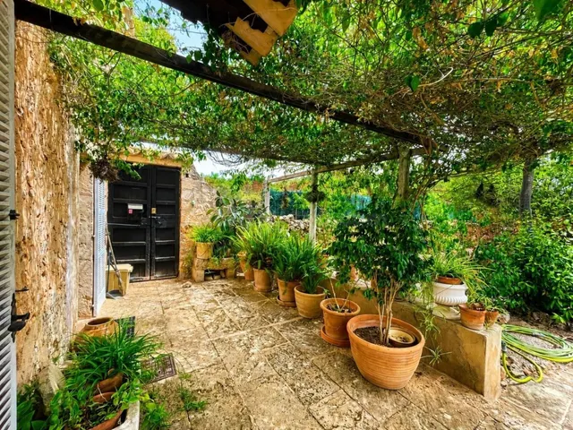 Finca mallorquina con más de 6.000 m² en Pòrtol — 13