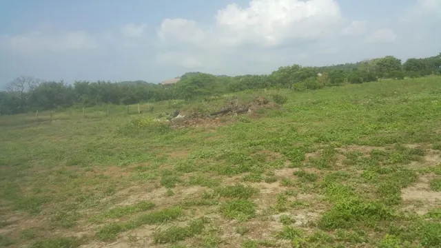 Venta de terreno con playas en sector de Punta Canoa — 6