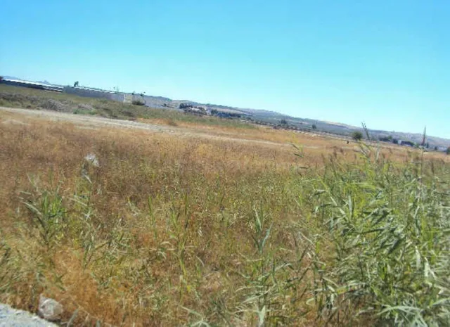 Venta de suelo Urbanizable en Chauchina - Granada - foto 3