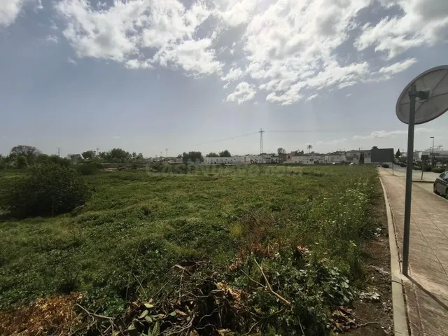 Oportunidad de inversión en suelo urbanizable sectorizado en - foto 3