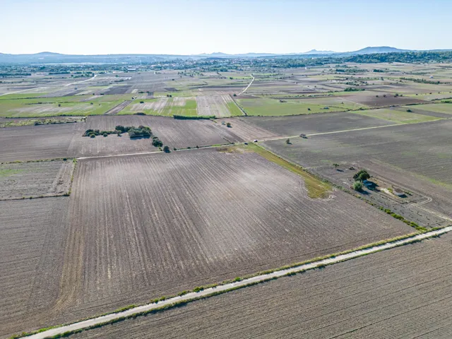 Terreno de 42.618m2 con Proyecto Basico y Ejecutivo Aprobados, mas Licencia para casa de 204 m2 — 15