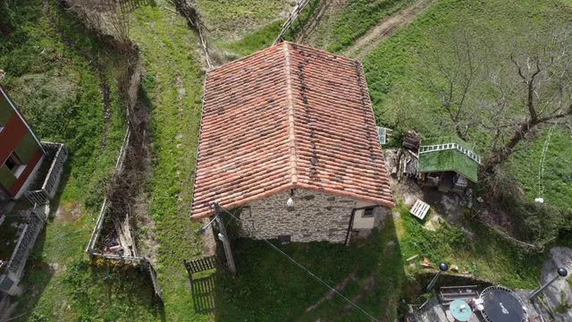 CONJUNTO DE CABAÑAS Y FINCAS EN RIOSA
