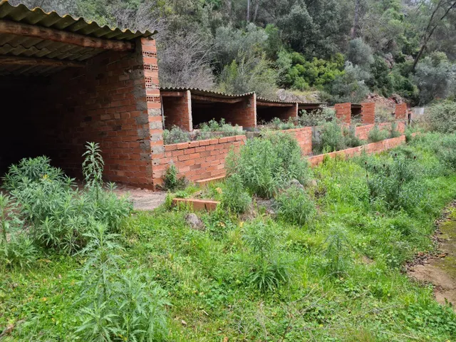 Masia de unos 570 m2 para reformar y reforzar estructuralmente con 470.000 m2 de terreno — 28