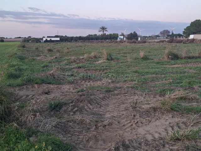Parcela de 12.000 m2 en marquesado — 2