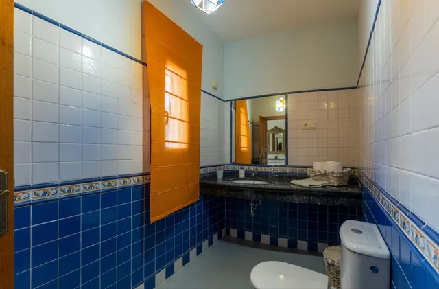 Finca rústica 4 habitaciones 331m² en venta - South of spain — 32