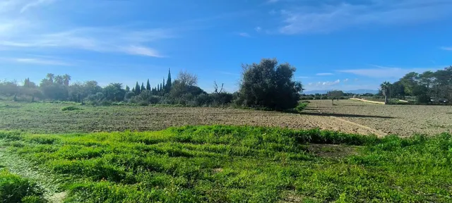 Proyecto de una casa de planta baja lujosa y piscina — 29