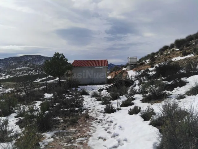 DISFRUTA DE LA MONTAÑA - FINCA DE ALMENDROS CON CASA DE MADE - foto 3