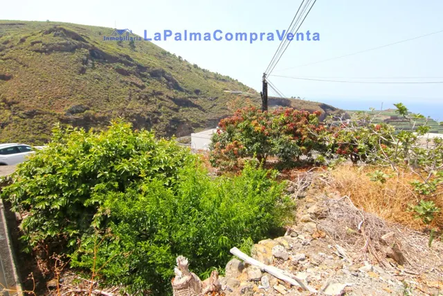Solar urbano en Venta en San Andres Y Sauces Santa Cruz de T
