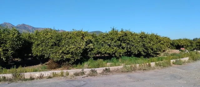 SUELO RUSTICO EN LA VALL D'UIXÓ - foto 3