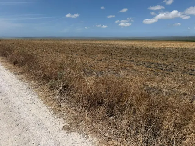 Oportunidad única: Finca rústica de 84.423 m2 en las afueras - foto 4