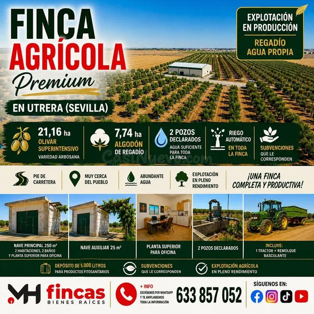 FINCA AGRÍCOLA PREMIUM EN UTRERA (SEVILLA) 29,27 HECTÁREAS D