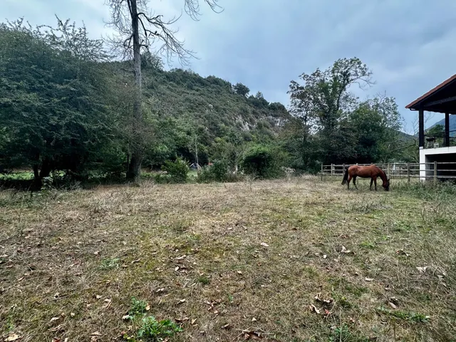 FINCA EDIFICABLE A 10 KM DE LA PLAYA — 8