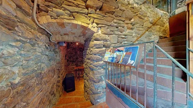 EL BAGES - SÚRIA — 21