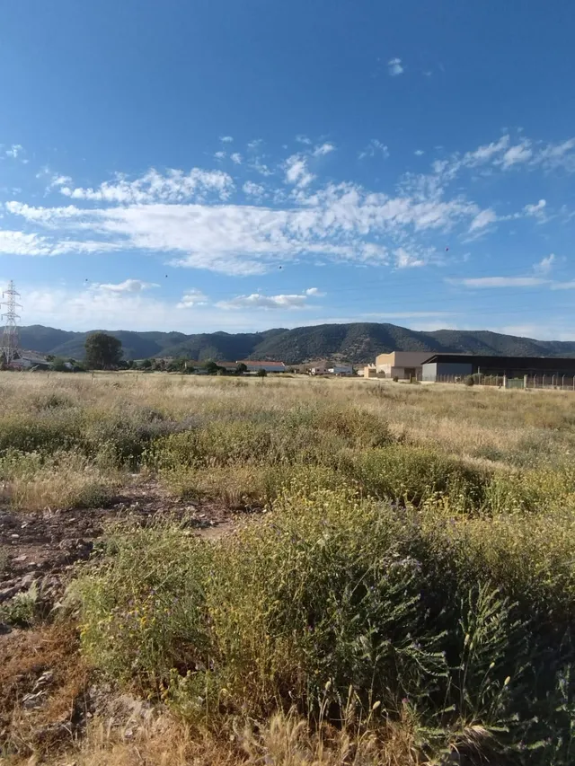 Terreno Rústico en venta - Miralbaida - foto 4