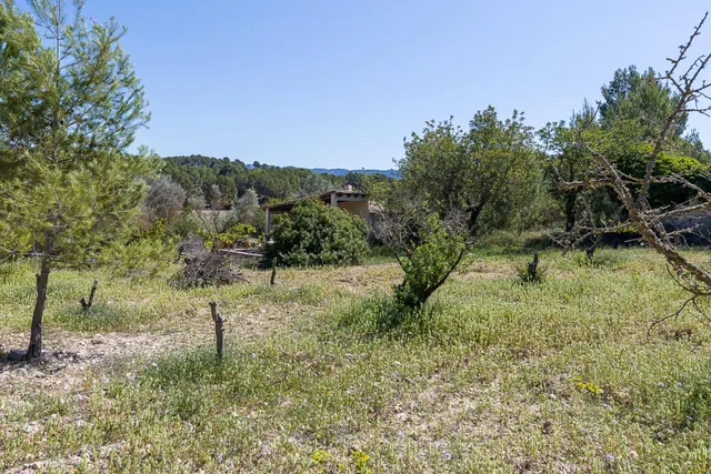 SE VENDE FANTASTICA FINCA RÚSTICA CON 35.000M2 DE TERRENO EN CALVIÀ — 39