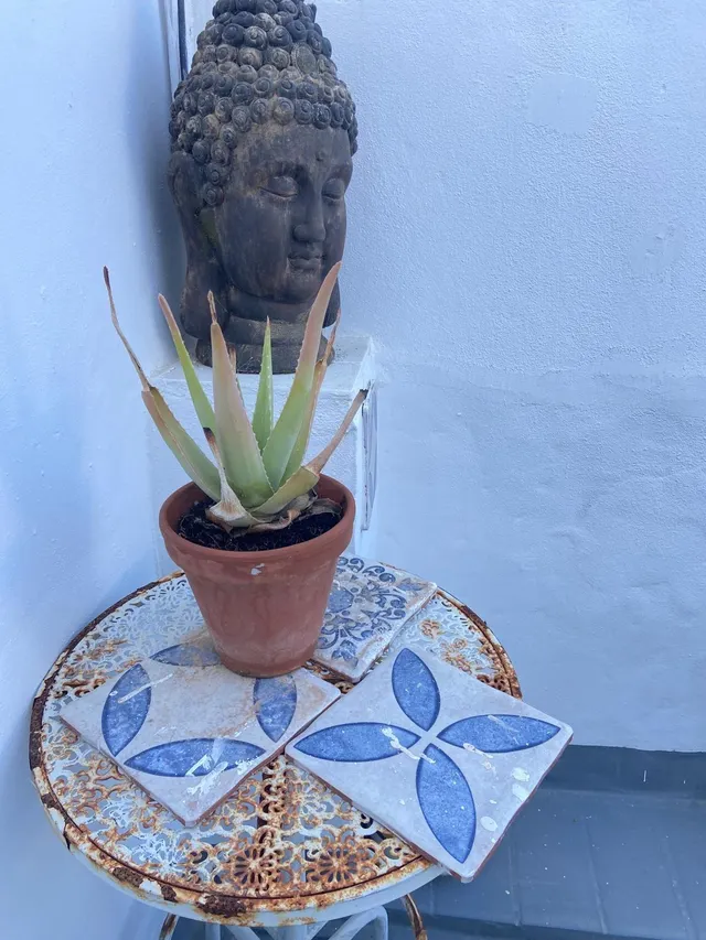 Se vende atico en cadiz , zona alameda — 17