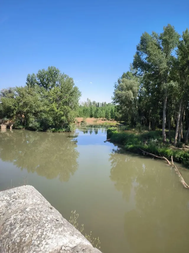 Finca rústica 6 habitaciones 450m² en venta - Castilla y leo - foto 5