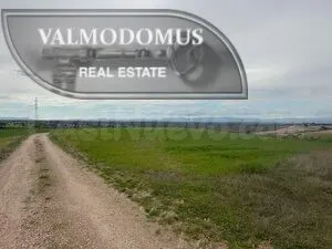 Finca rústica de 36.000 m2 con acceso directo – Villaviciosa - foto 2