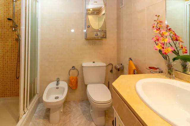 PISO EN CASCO ANTIGUO DE TRES DORMITORIOS, DOS BAÑOS,GARAJE Y TRASTERO. — 10