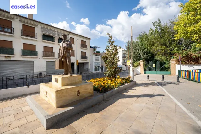 Fantástico y amplísimo local en el centro de Ogíjares — 19