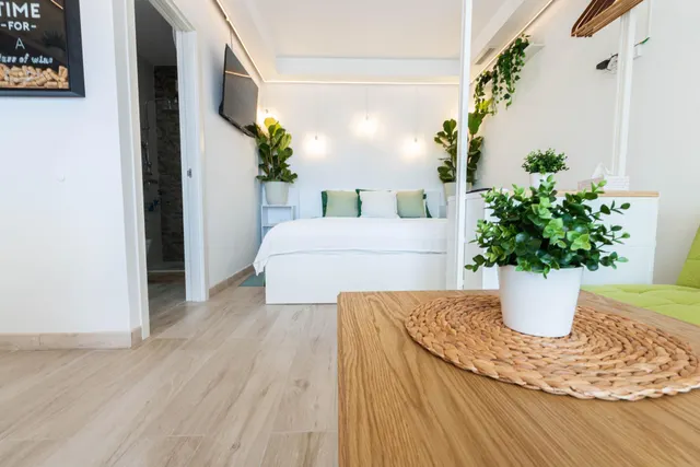 Estudio con bonitas vistas en Puerto Rico — 27