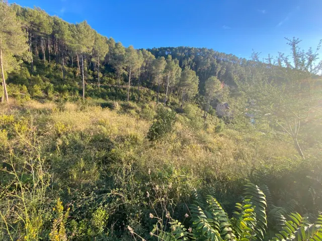 Fantastico terreno en Vallirana - En el sector el pinar, parte alta. — 15