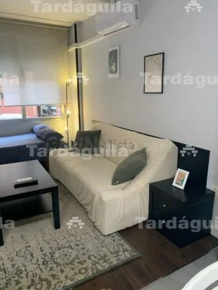 ESTUDIO REFORMADO EN LA AVENIDA PORTUGAL — 2