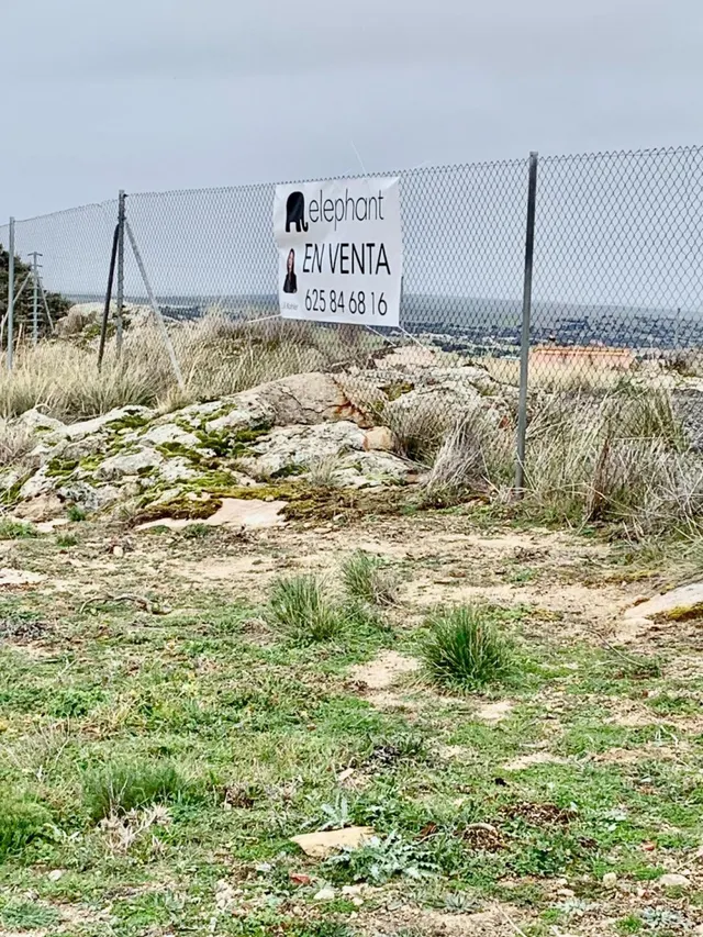 PARCELA URBANA - foto 4