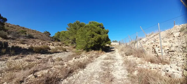 PARCELA 30.000 METROS DE TERRENO — 28