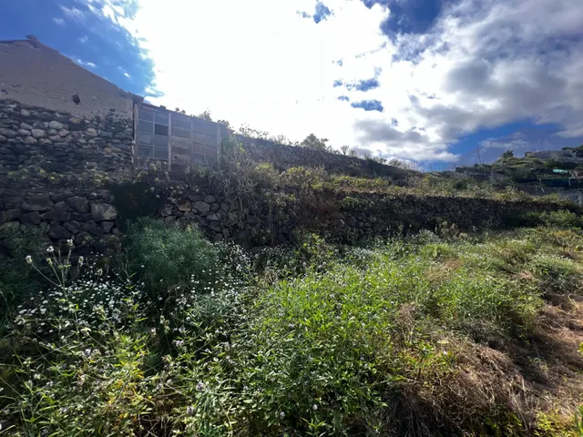 FINCA RÚSTICA CON ESTANQUE Y CUARTO DE APEROS EN ICOD DE LOS VINOS — 36