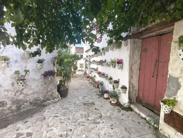 ¡CASA PARA DERRIBAR EN EL CENTRO CASTELLAR! - foto 3
