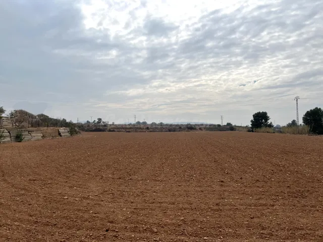 CAMPO PARA CULTIVO — 2