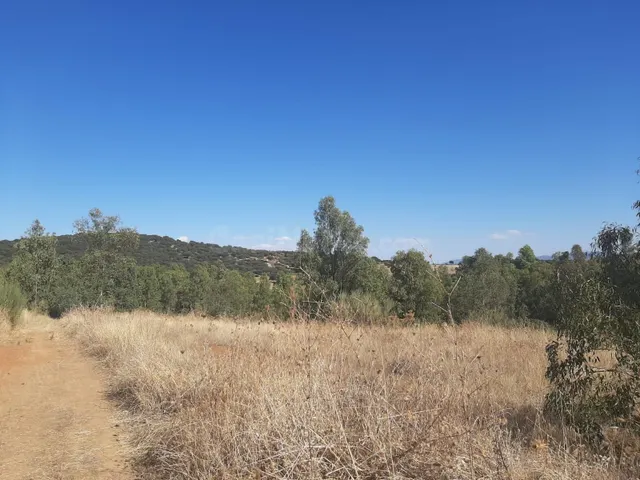 Parcela en el Pradillo - foto 4