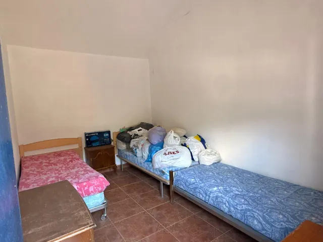Finca rústica de 26 ha con 3.000 olivos ecológicos, cortijos y alta producción. — 39