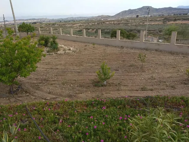 Chalet en venta en Horna Alta, Novelda — 16