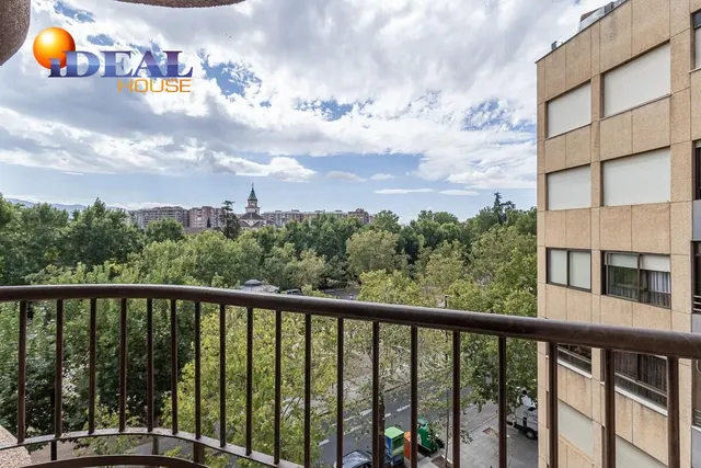 Pisazo en paseo del salón - Granada — 24