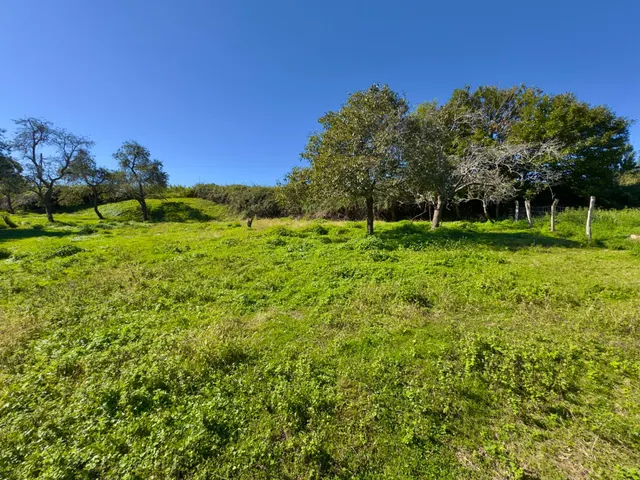BONITO TERRENO URBANO CON VISTAS EN RUISEÑADA (COMILLAS) — 7