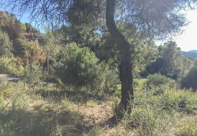 TERRENO URBANO EN RELLINARS DE 946 M2 - ZONA EL PLANET — 20