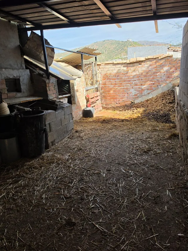 CASA CAMPO CON TERRENO DE 1 HECTAREA EN TOTALAN — 11