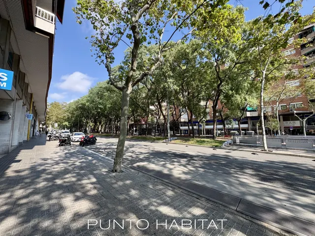 Oportunidad en Les Corts — 47