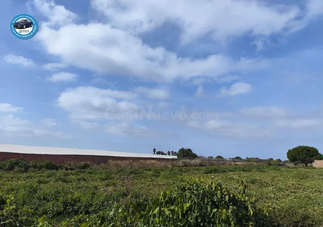 Terreno rural en venta - Carretera Sanlucar - foto 2