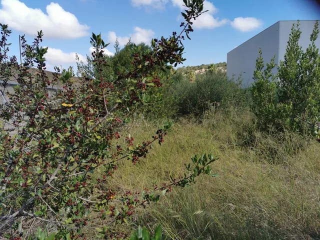 Finca Rústica en zona Ses Salines con proyecto edificación - foto 2