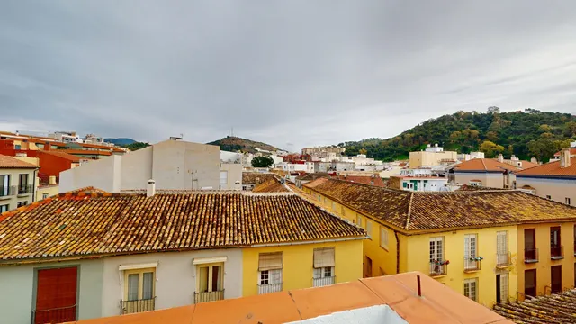 Adosado 2 habitaciones 330m² en venta - Limonar — 42