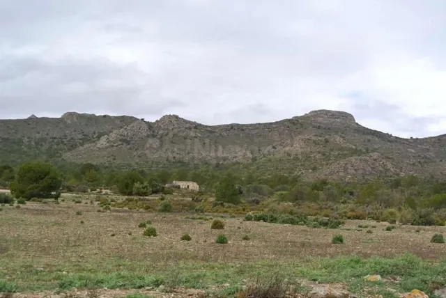 Parcela en venta - Ayuntamiento