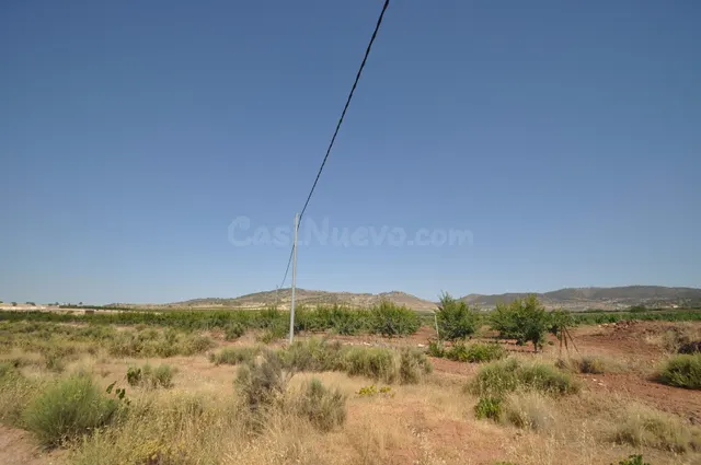 Parcela rústica en venta en Pinoso, Comunidad Valenciana - foto 2